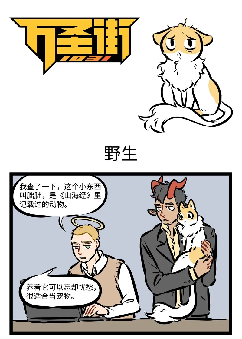 第245话 何以解忧，唯有撸猫！0