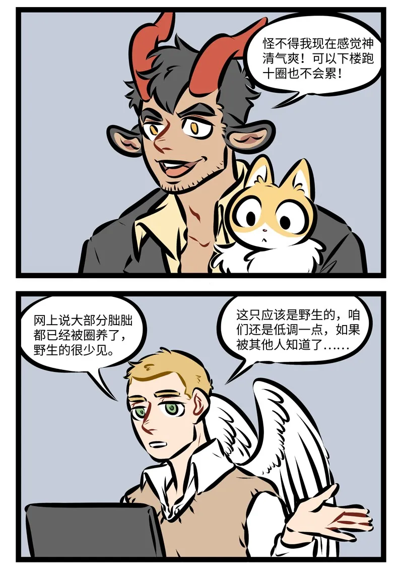 第245话 何以解忧，唯有撸猫！1