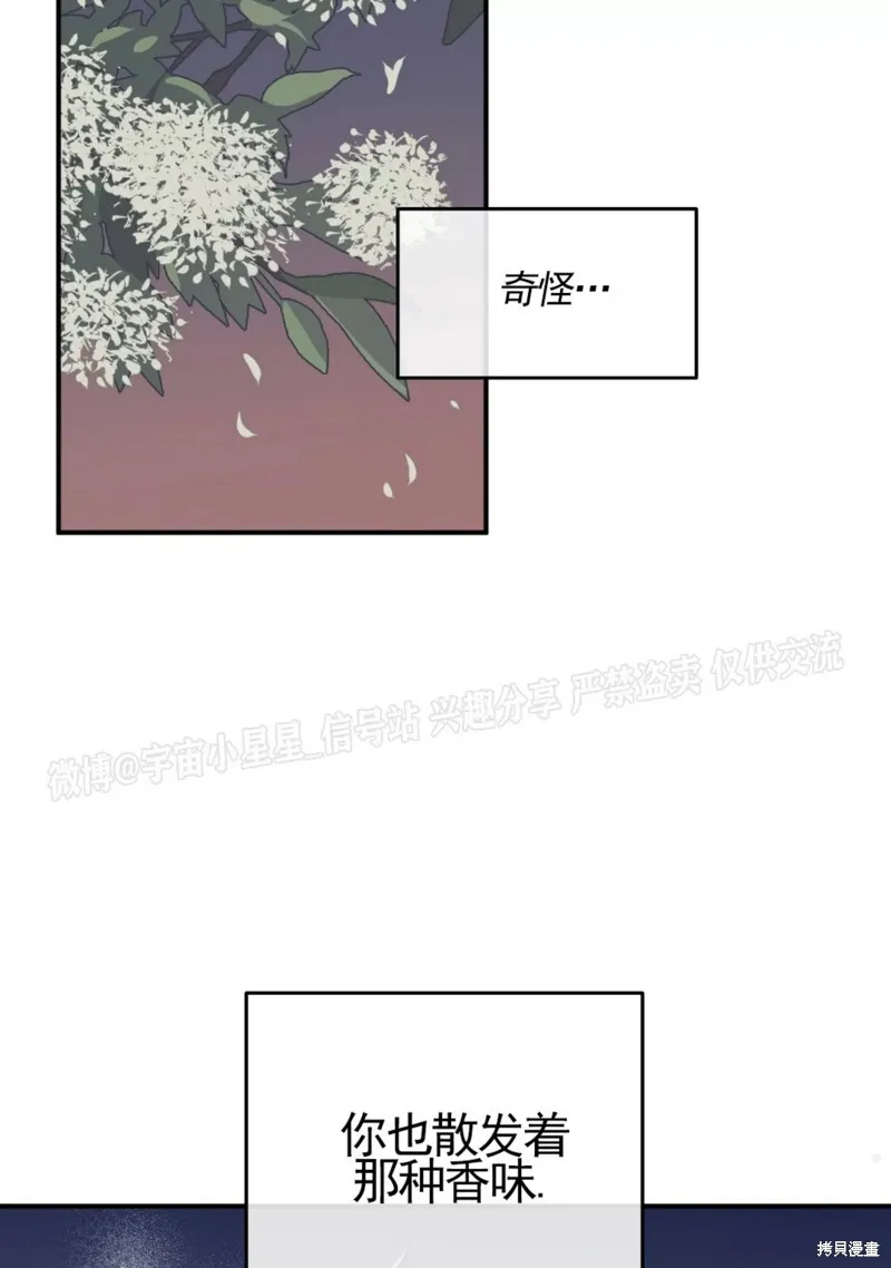 海边之夜/水边之夜/海滨之夜漫画,第67话5图