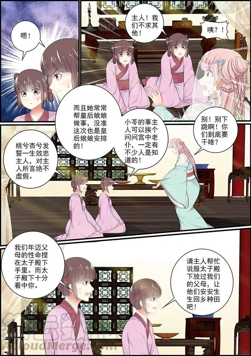 第75话 后宫形势2