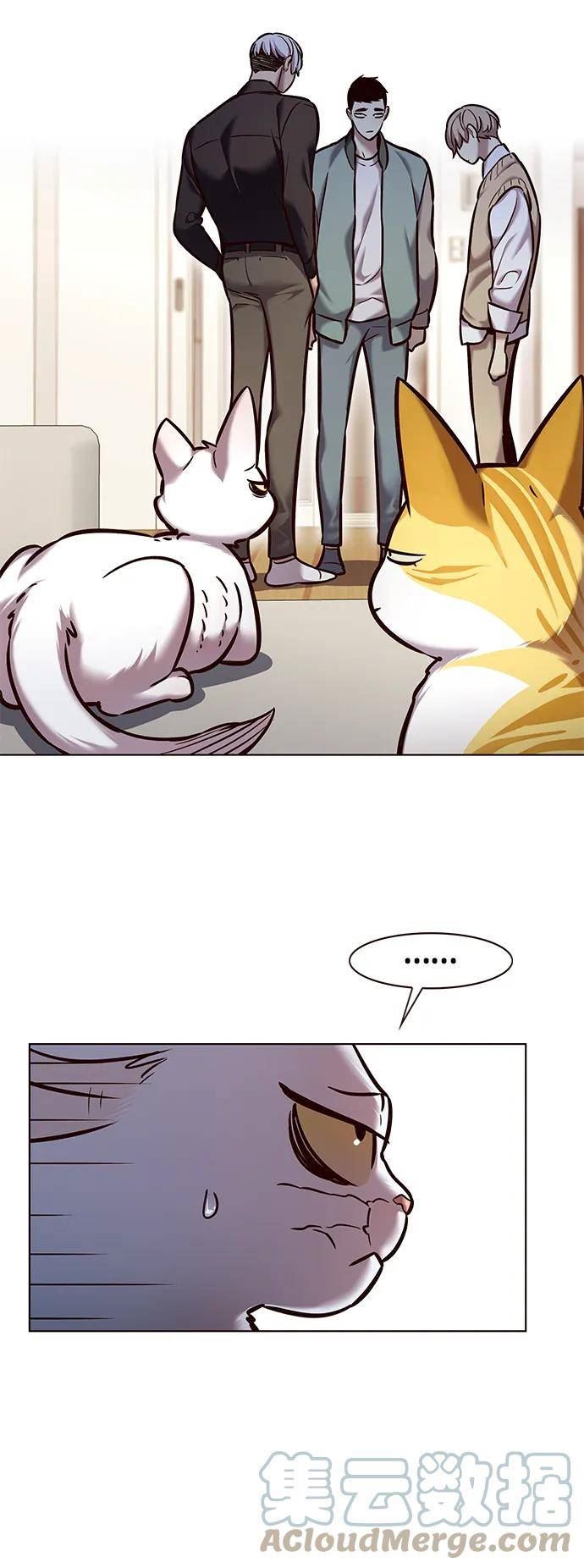 觉醒吧铲屎官167漫画,第228话4图