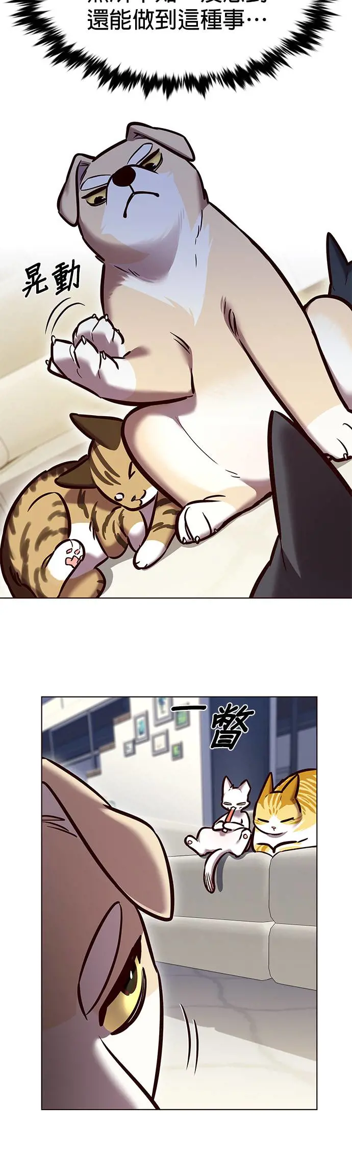 觉醒吧铲屎官167漫画,第280话5图