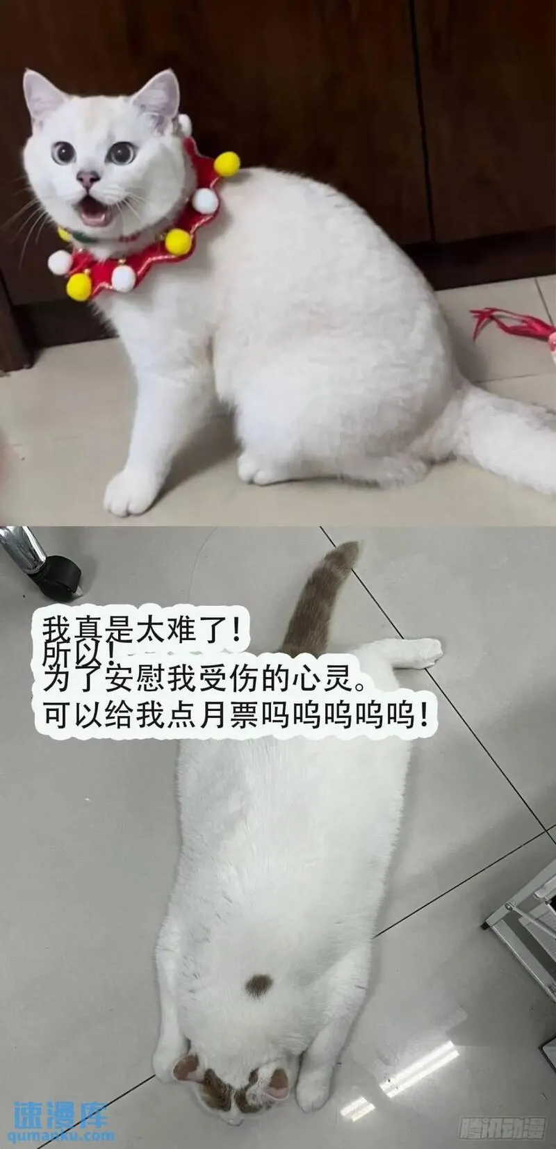 地球人实在太凶猛了~漫画,第225话 生死未卜5图