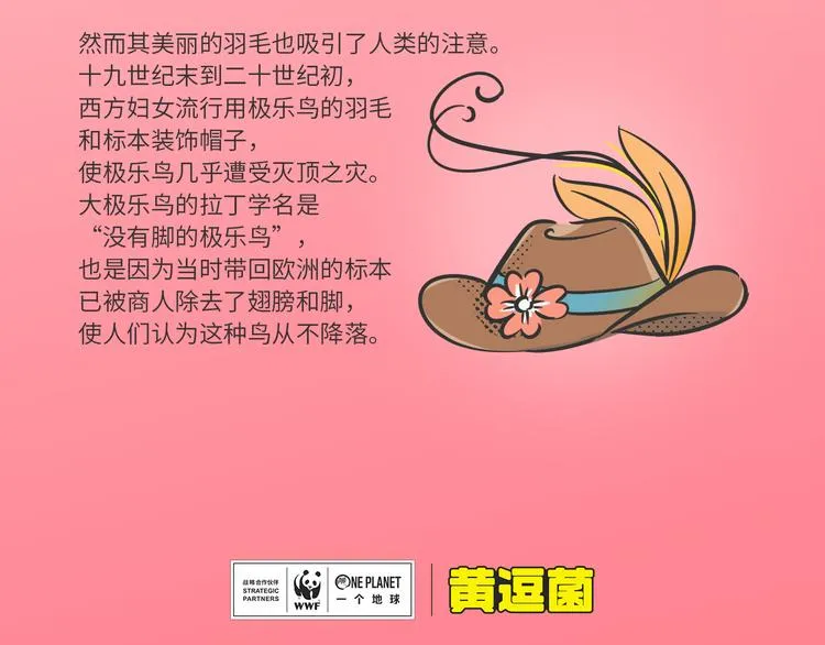 科普番外——“天堂鸟”在哪里3