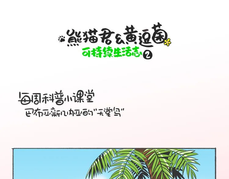 科普番外——“天堂鸟”在哪里0