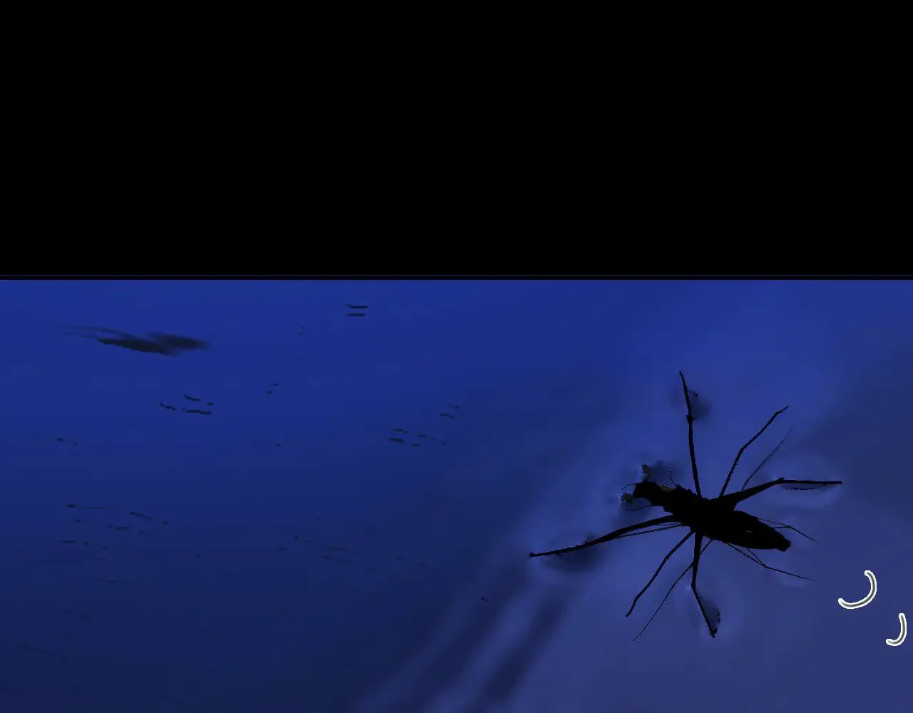 黑无常漫画,23 两小蔷薇1图