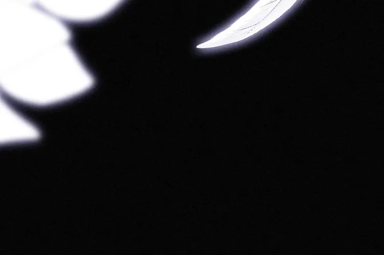 黑夜有所斯免费看漫画,第124夜 神明诉说的秘密5图