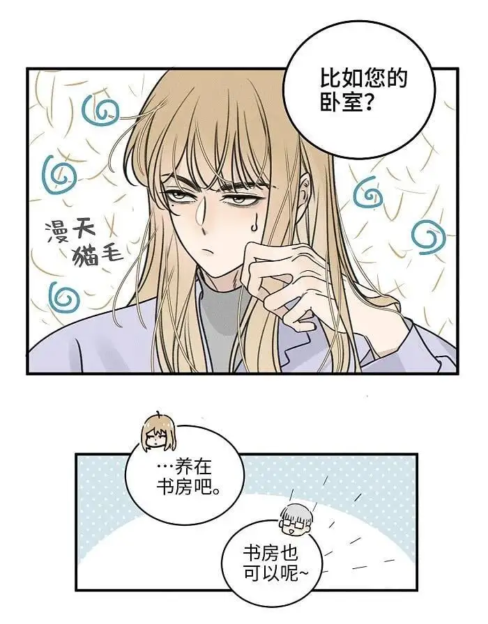 盐友mba漫画,番外 裴心养猫记4图