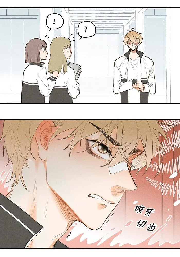 盐友漫画全集免费阅读下拉式奇漫屋漫画,02 担惊受怕的日子5图