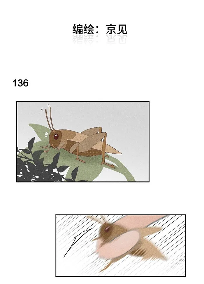 盐友mba漫画,57 他的童年2图