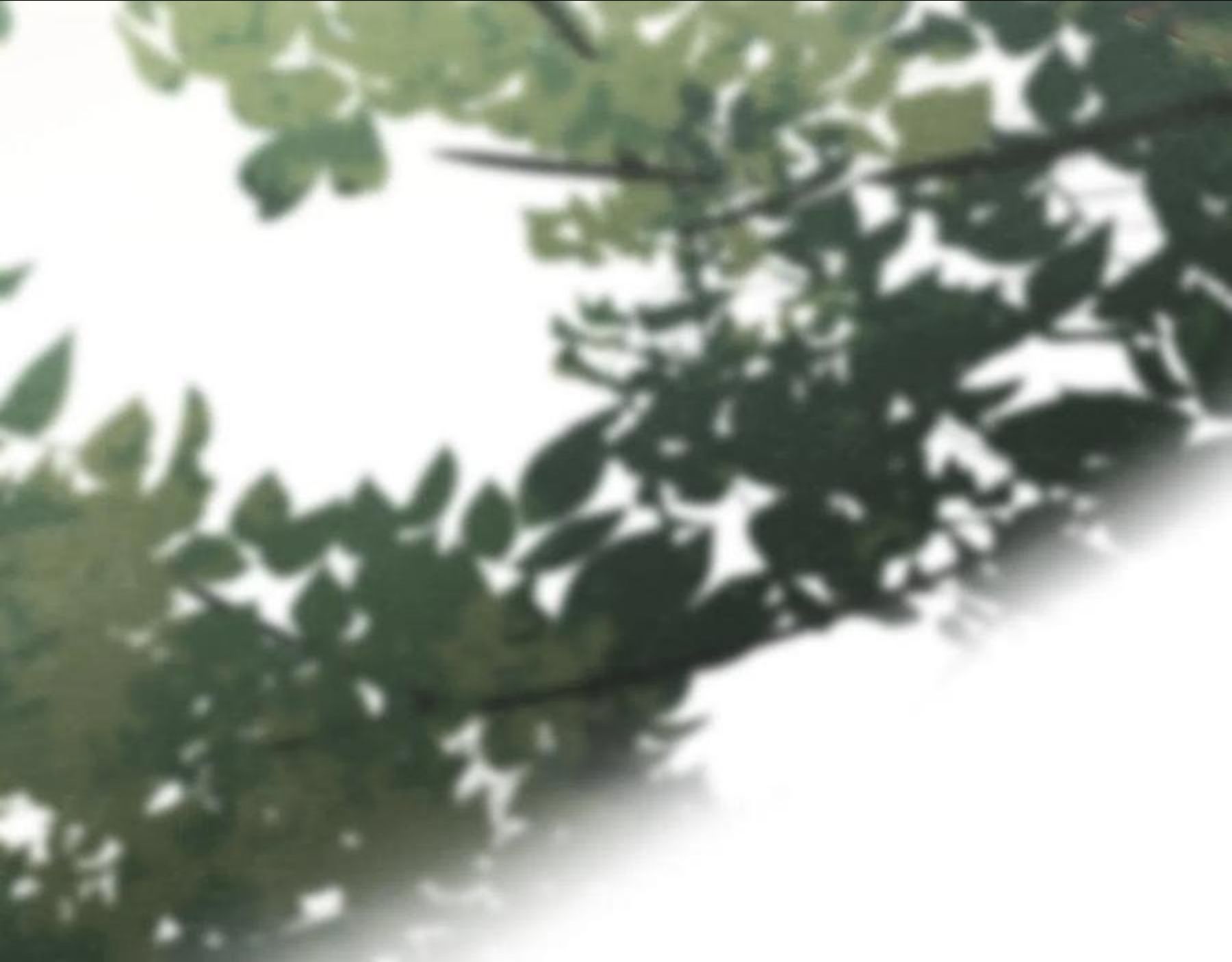 无法与女生成为朋友~漫画,第52话 变质的巧克力（上3图