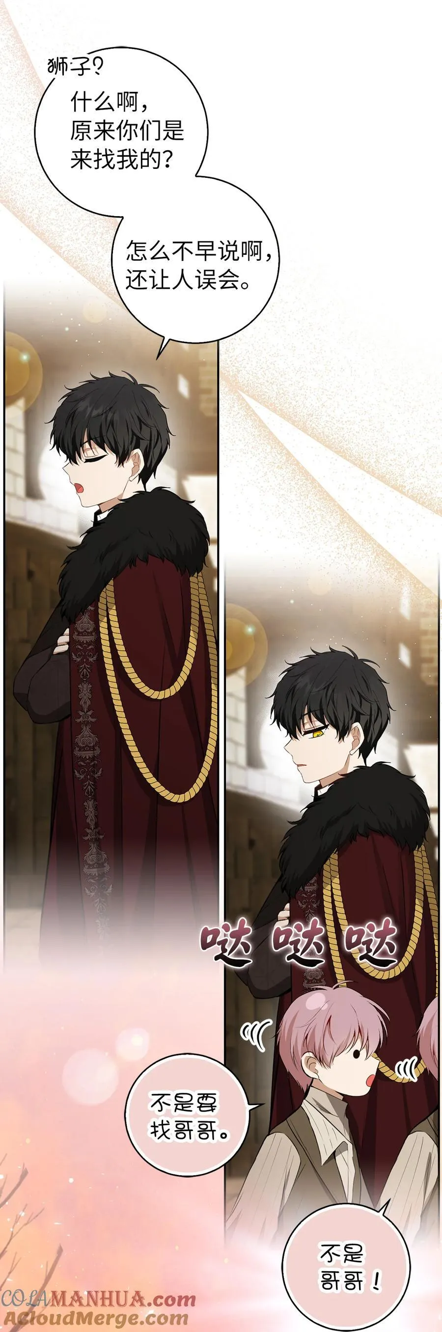 狮子公爵家的松鼠千金漫画,60 可怜的双胞胎2图