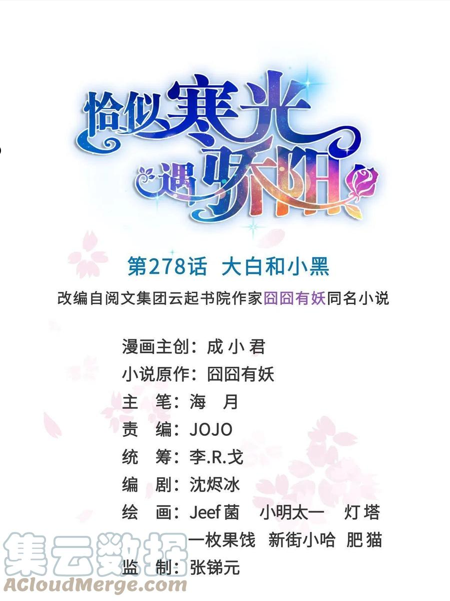 恰似寒光遇骄阳~漫画,第278话 大白和小黑1图