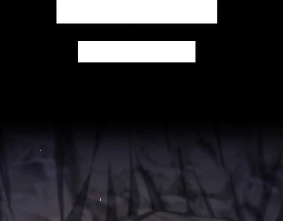 恰似寒光遇骄阳~漫画,第493话 小男孩3图