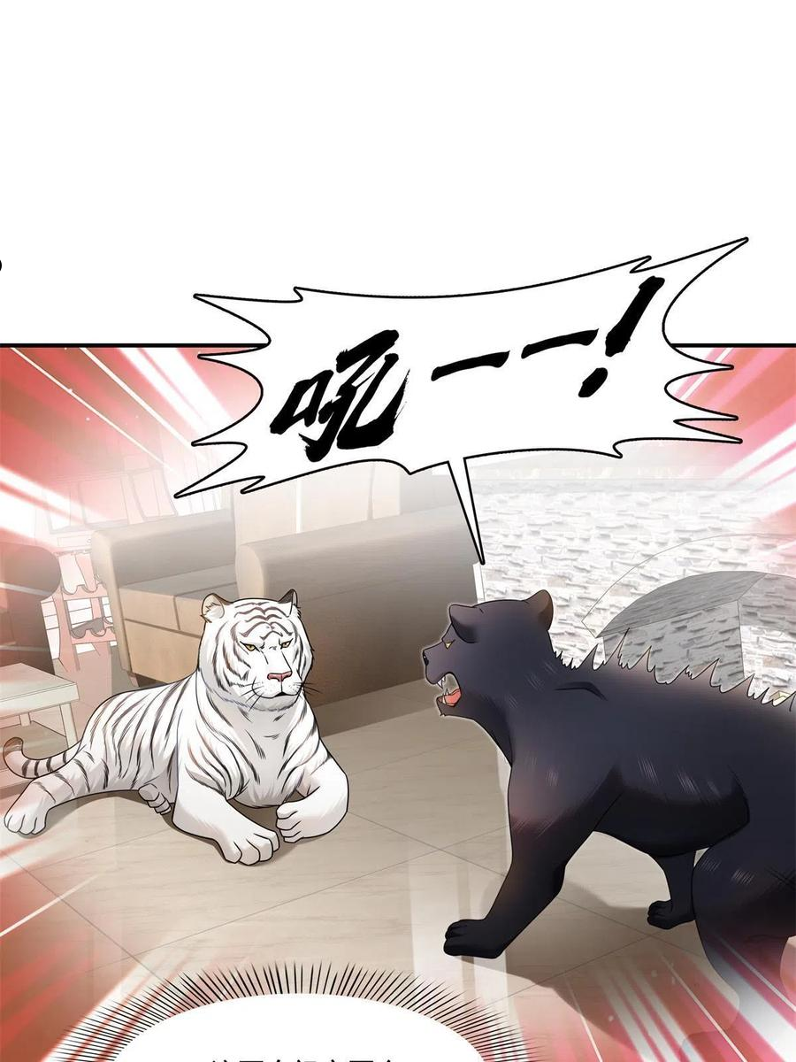 恰似寒光遇骄阳~漫画,第278话 大白和小黑3图