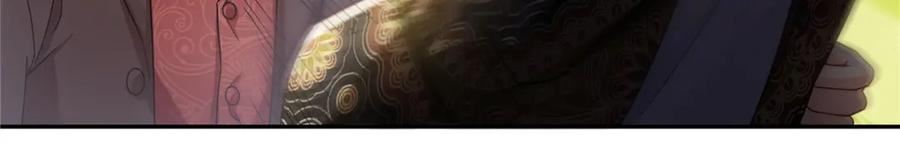 恰似寒光遇骄阳~漫画,第409话 壮观的组合2图