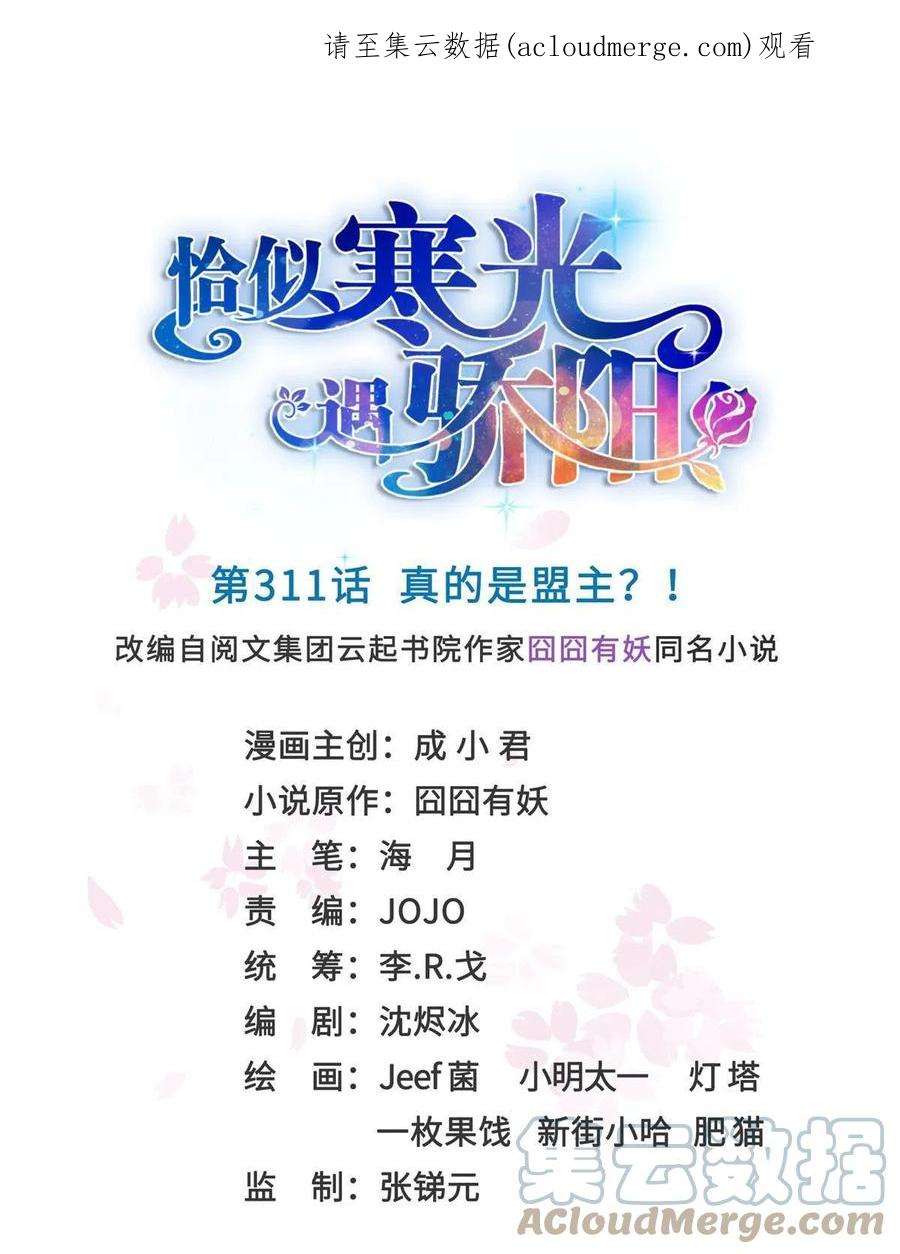 恰似寒光遇骄阳~漫画,第311话 真的是盟主？！1图