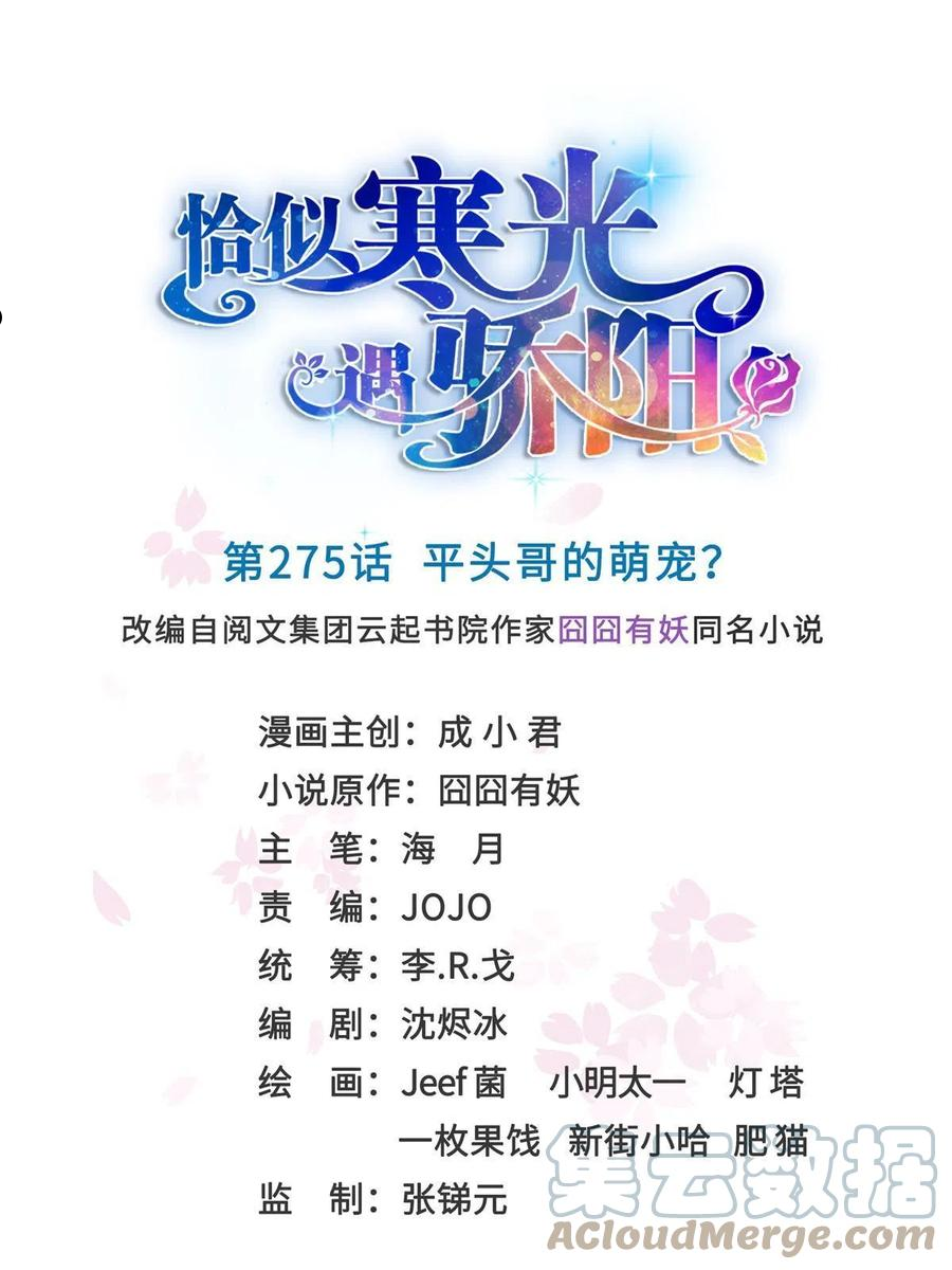 恰似寒光遇骄阳~漫画,第275话 平头哥的萌宠？1图