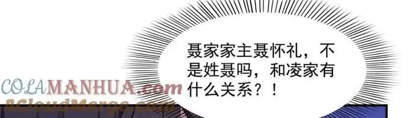 恰似寒光遇骄阳~漫画,第457话 凌家与聂家5图