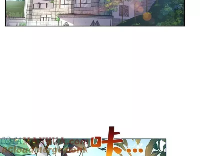 恰似寒光遇骄阳~漫画,第399话 司家来历5图