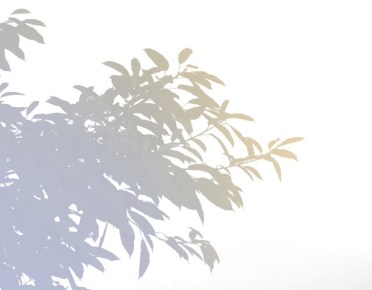 满级大佬翻车以后~漫画,第133 见家长1图