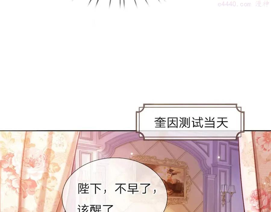 我，伊蒂丝女皇~漫画,第11话 奎因测试开始3图