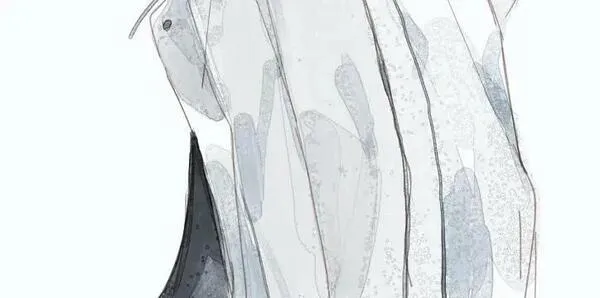 第65话 什么感觉1