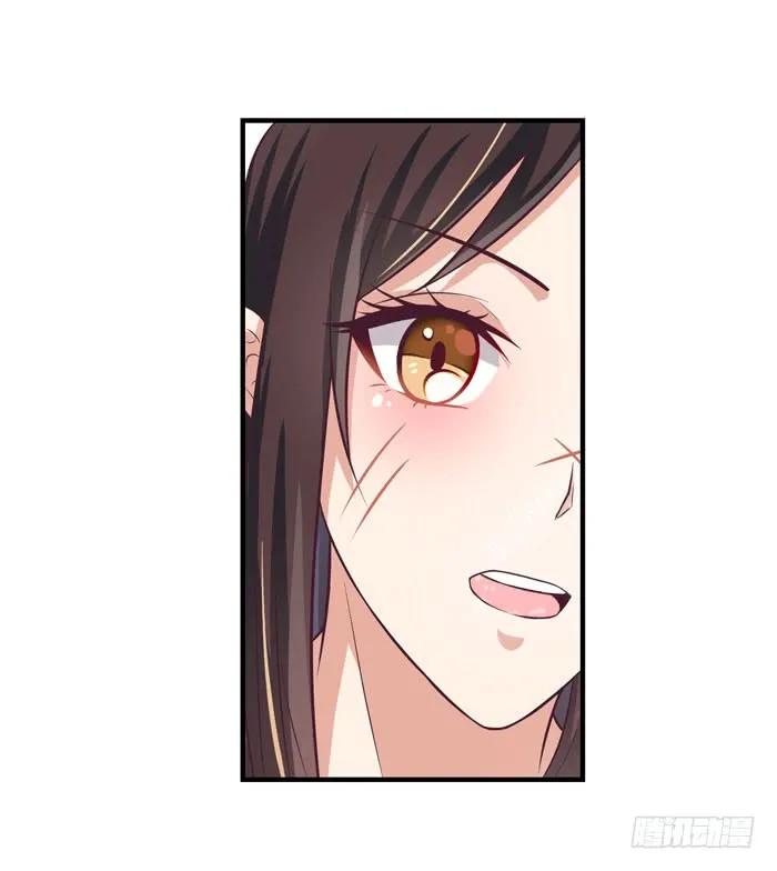 鬼医凤九2漫画,圆嘟嘟的小凤凰？1图