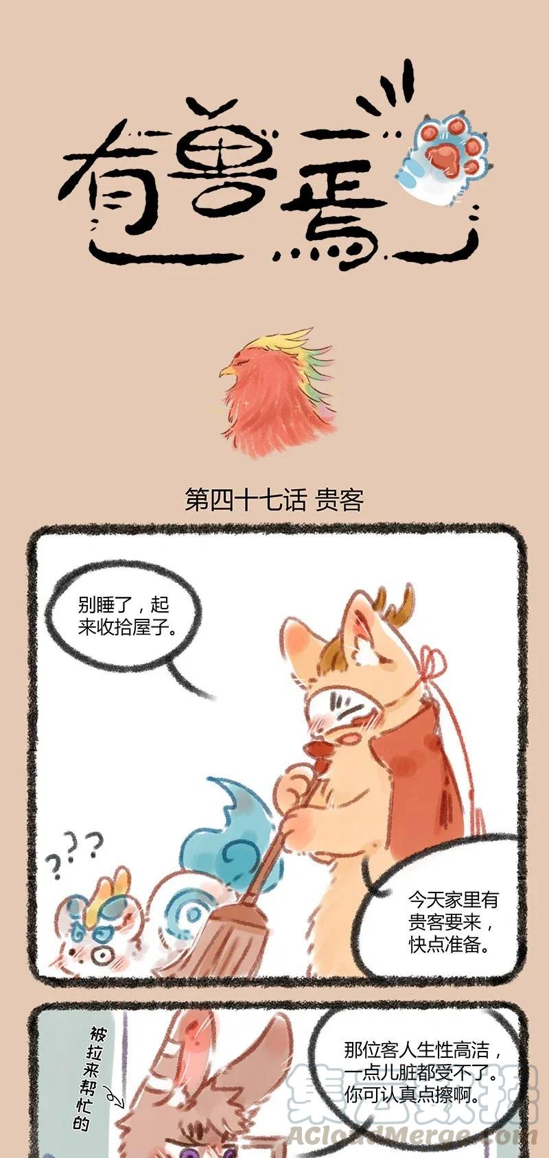 047 凤凰大人登场0