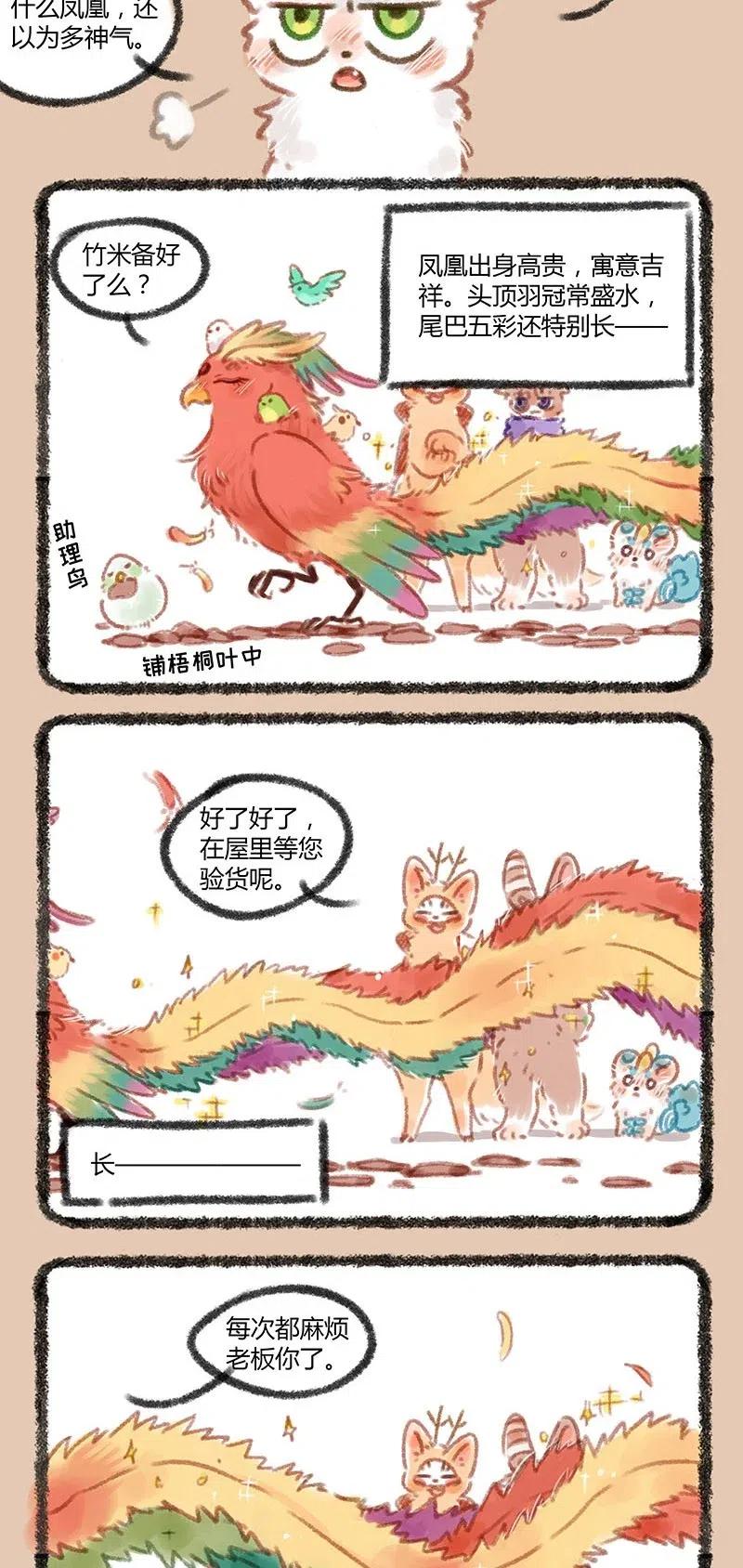 047 凤凰大人登场3