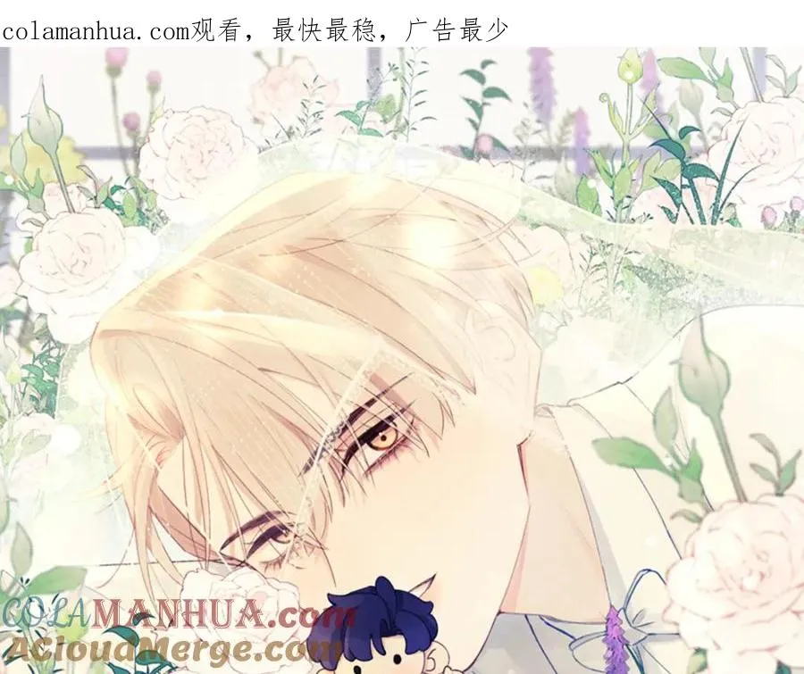 第41话 你不要做我的前任吧0