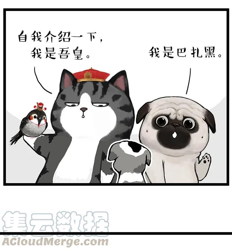 252 跟我回家吧0