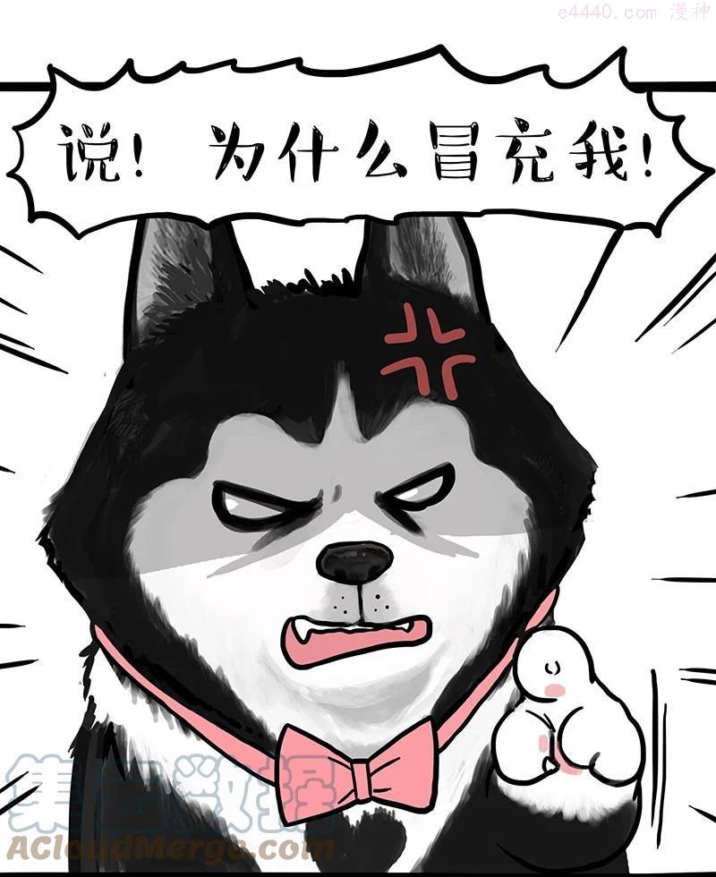 270 吹牛狗真牛0