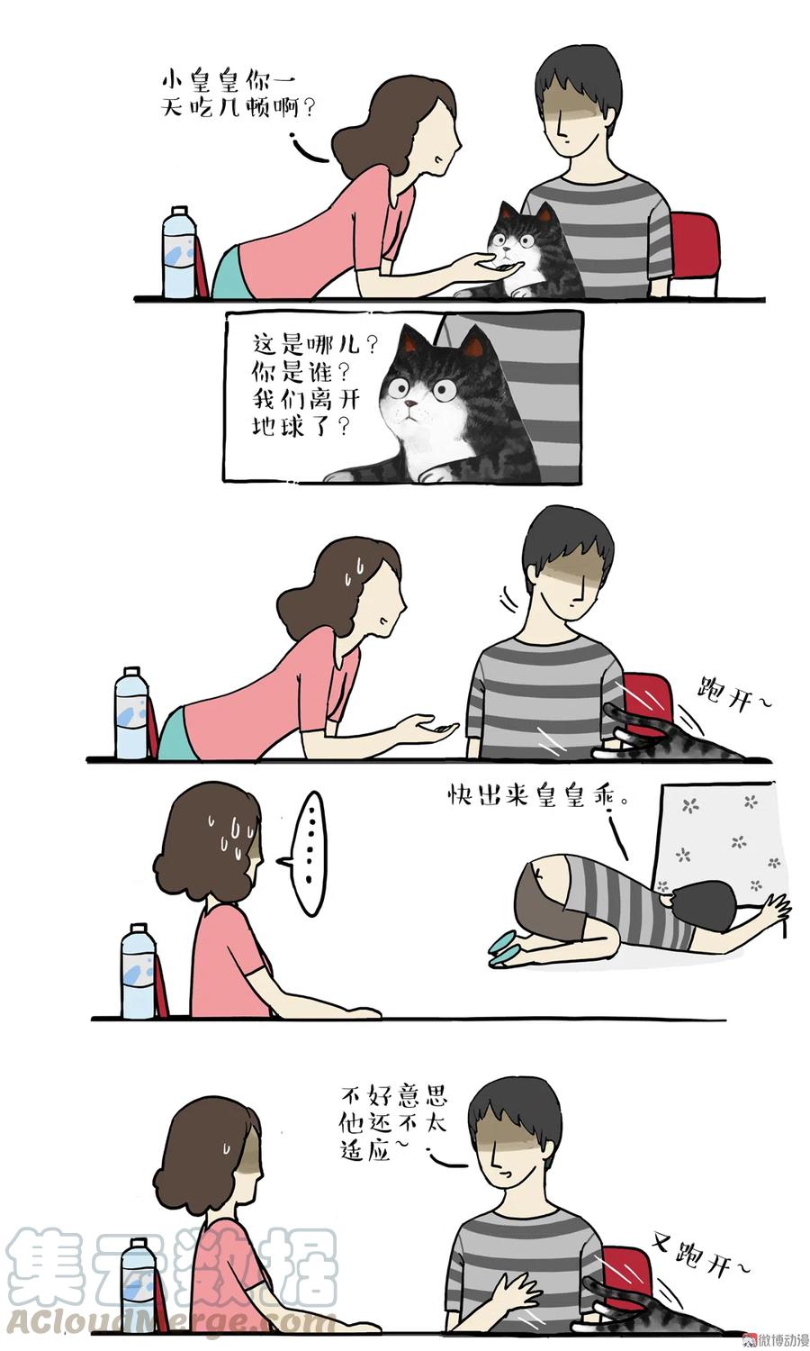 4 采访少年（下）4