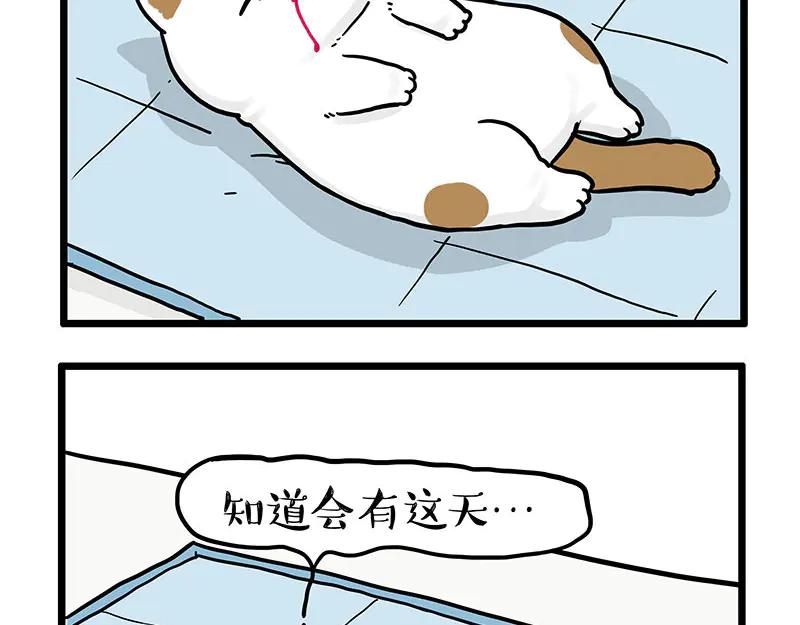 第441话 不要出卖老大！3