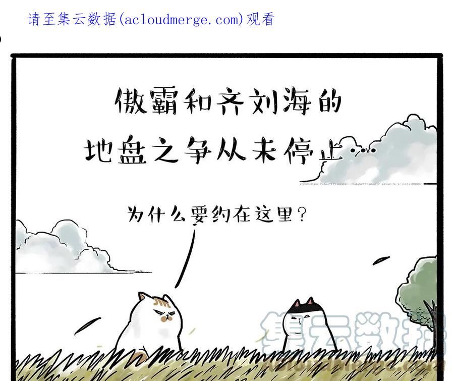 第331话 猫王争霸之“杀青”0