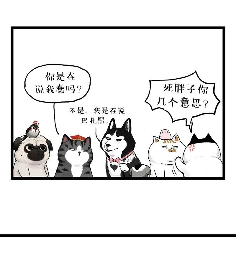 252 跟我回家吧3