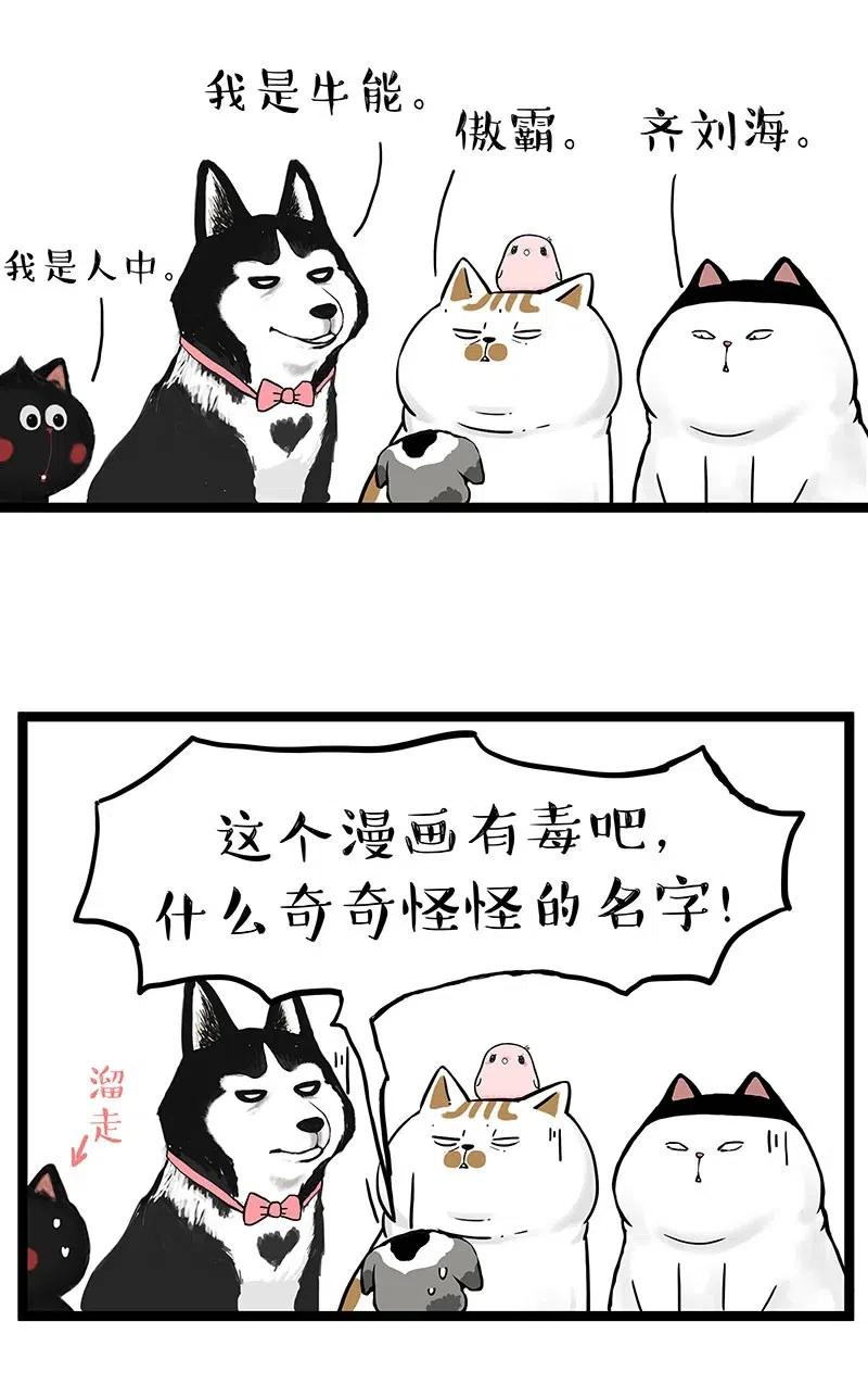 252 跟我回家吧1