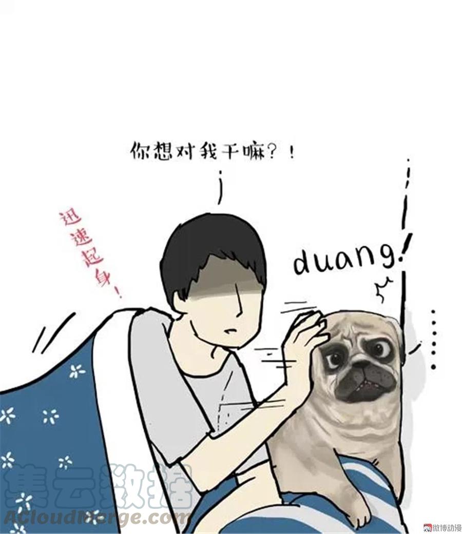 8 少年是“温顺”的生物1