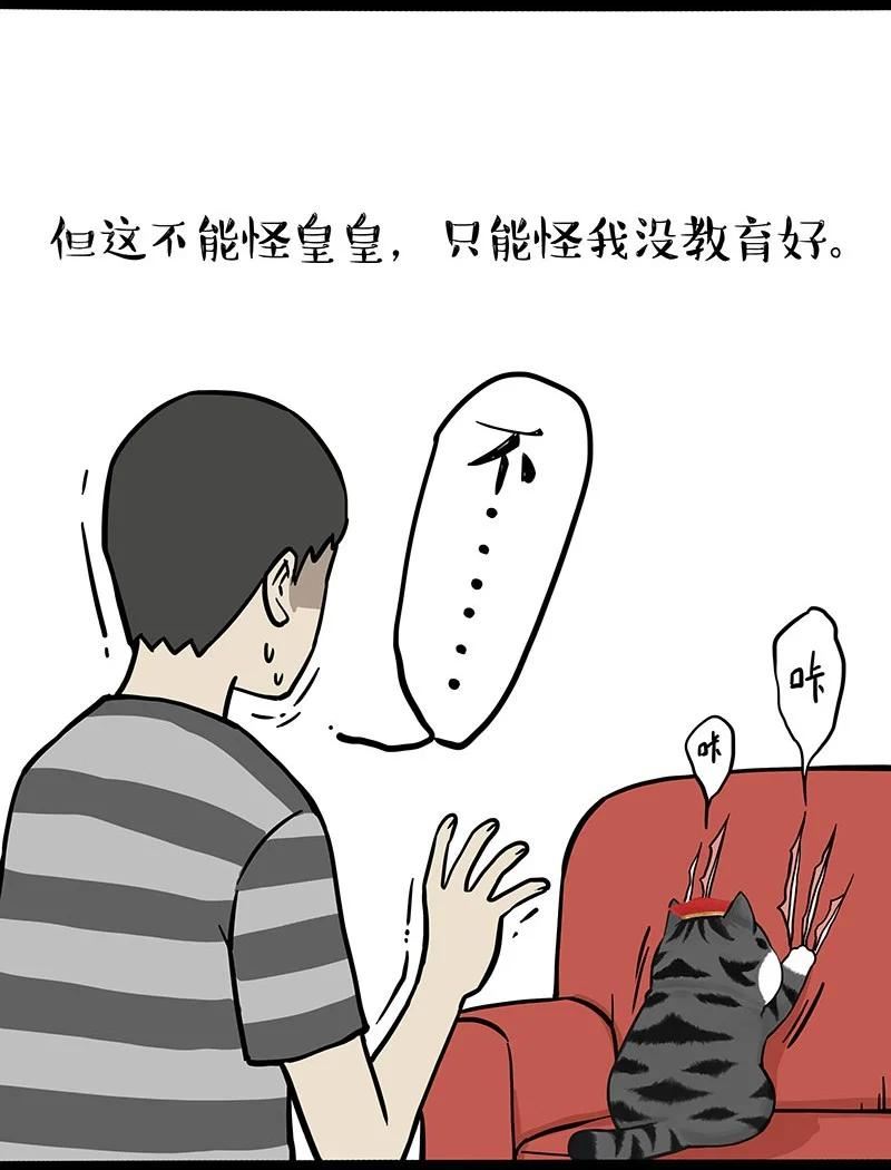 305 你不守猫德1