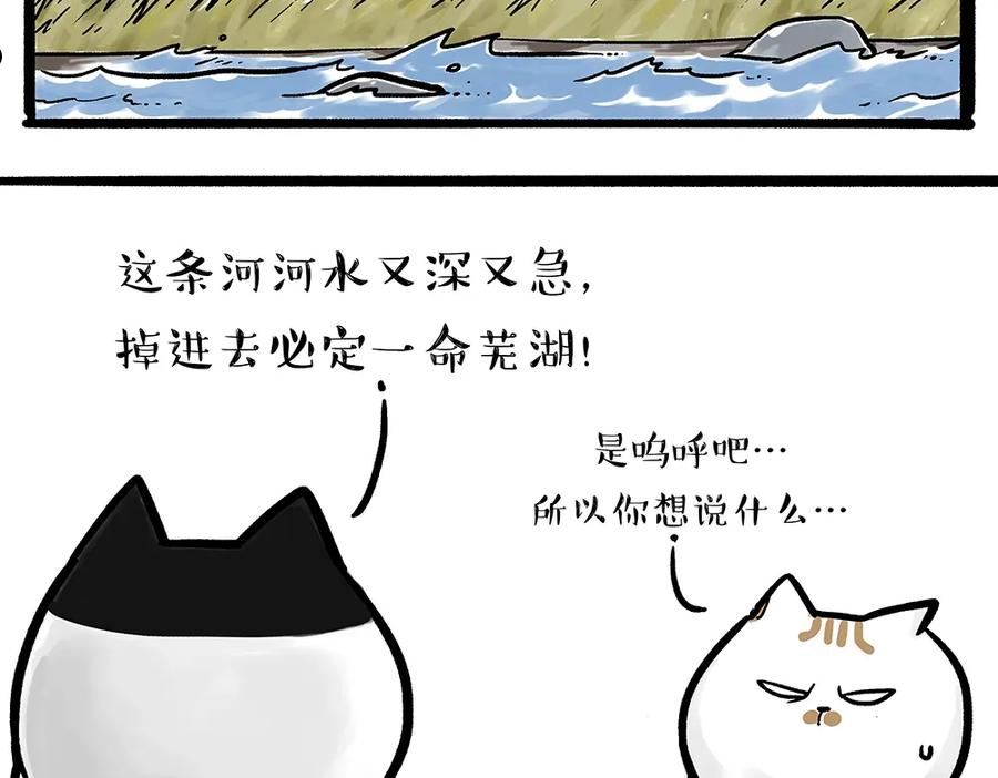 第331话 猫王争霸之“杀青”1