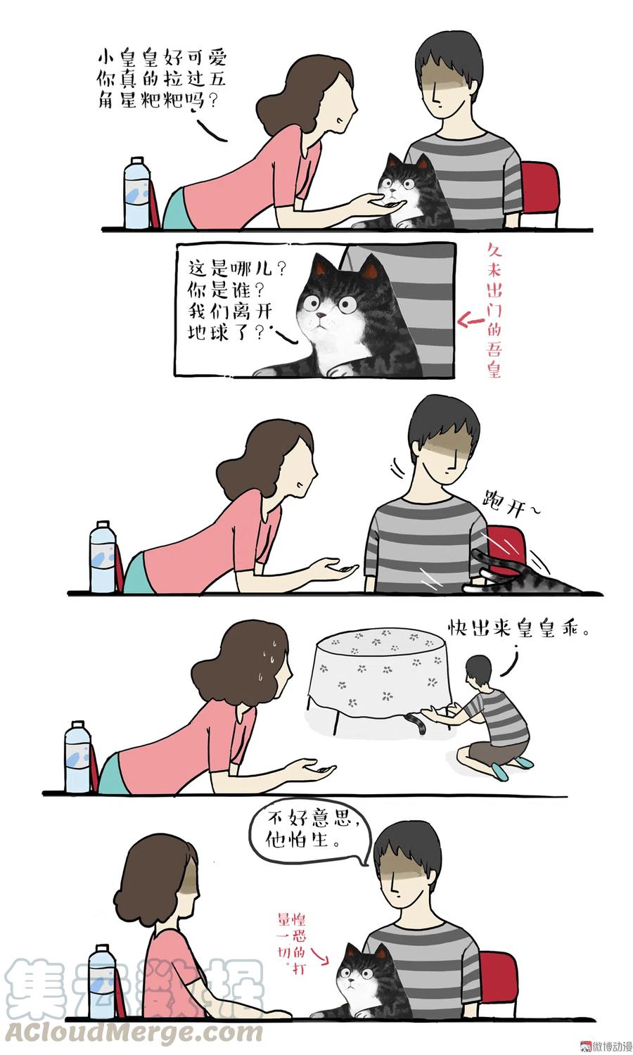 4 采访少年（下）3