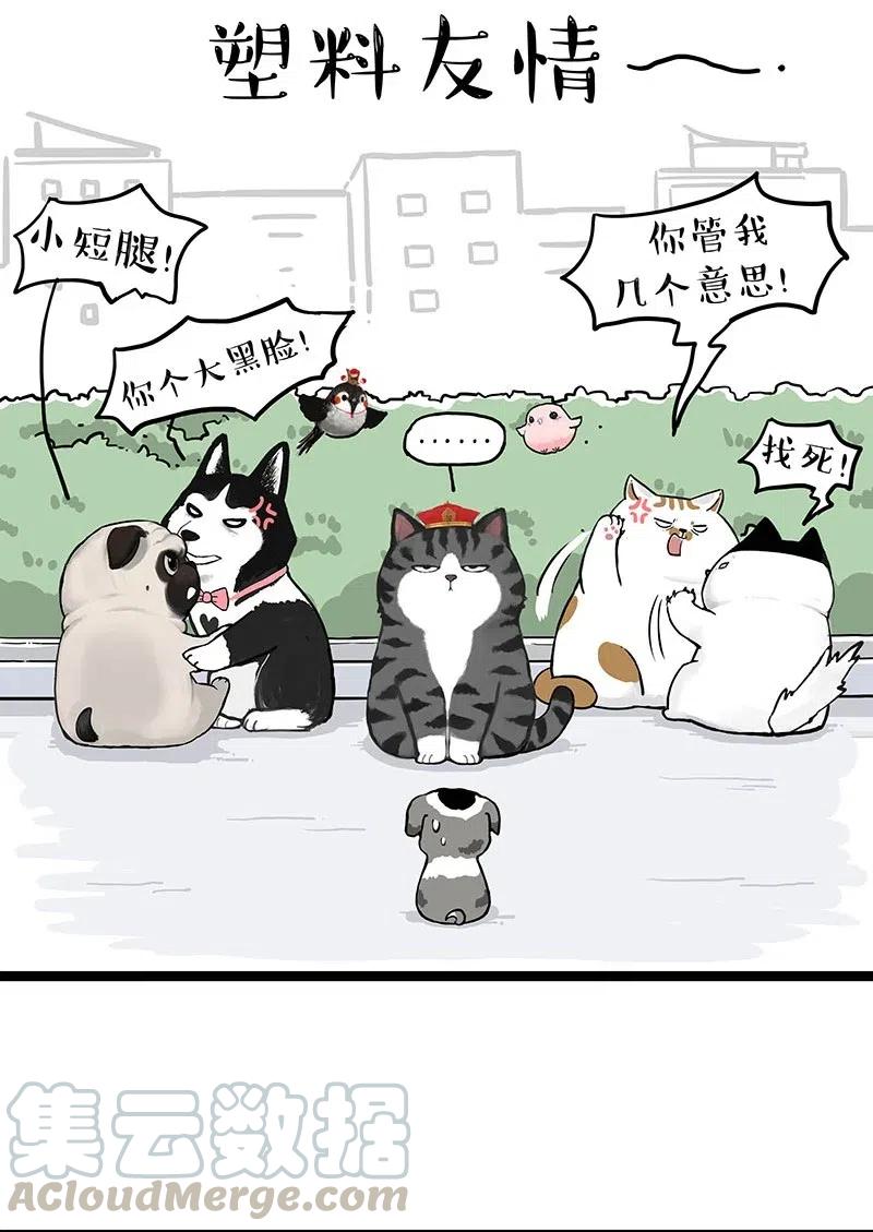 252 跟我回家吧4