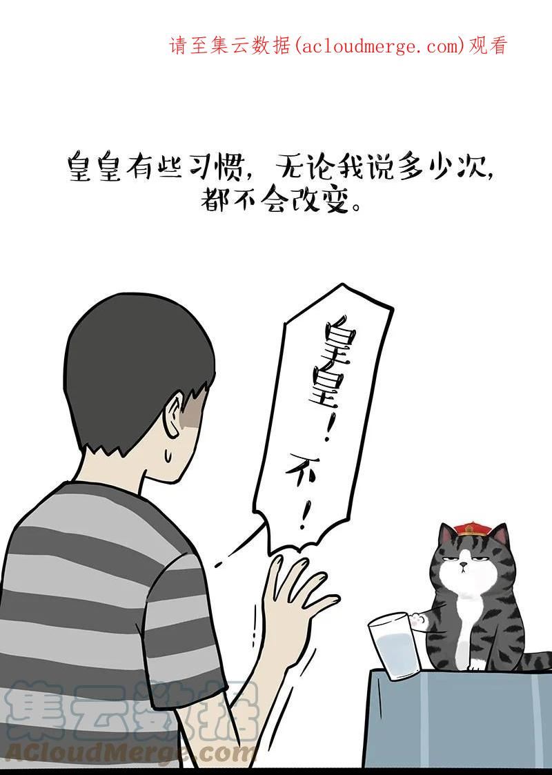 305 你不守猫德0
