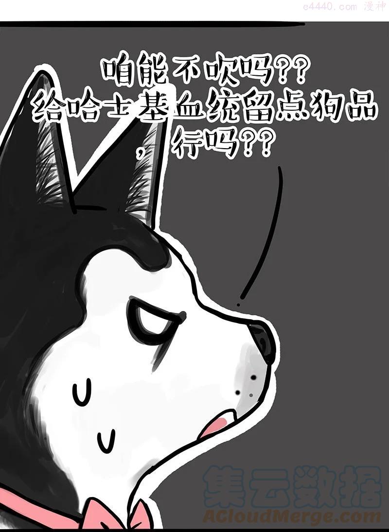 270 吹牛狗真牛4