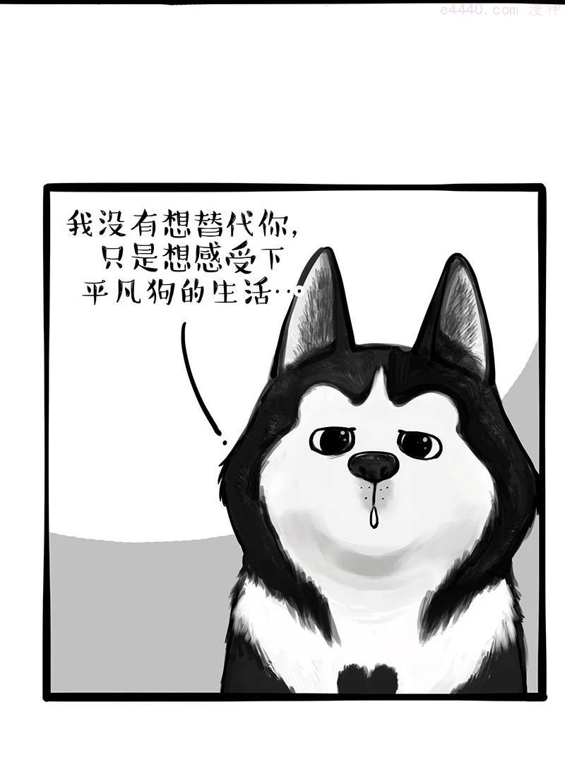 270 吹牛狗真牛1