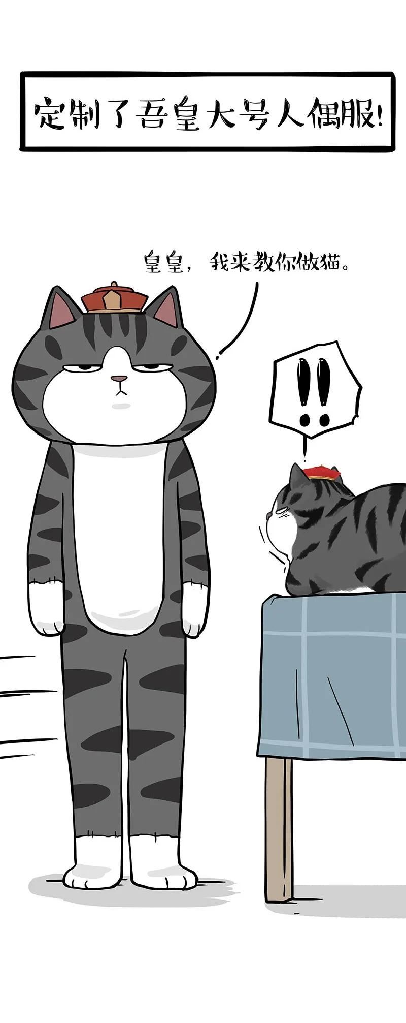 305 你不守猫德3