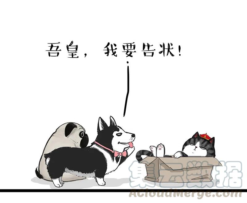 132 不一样又如何0