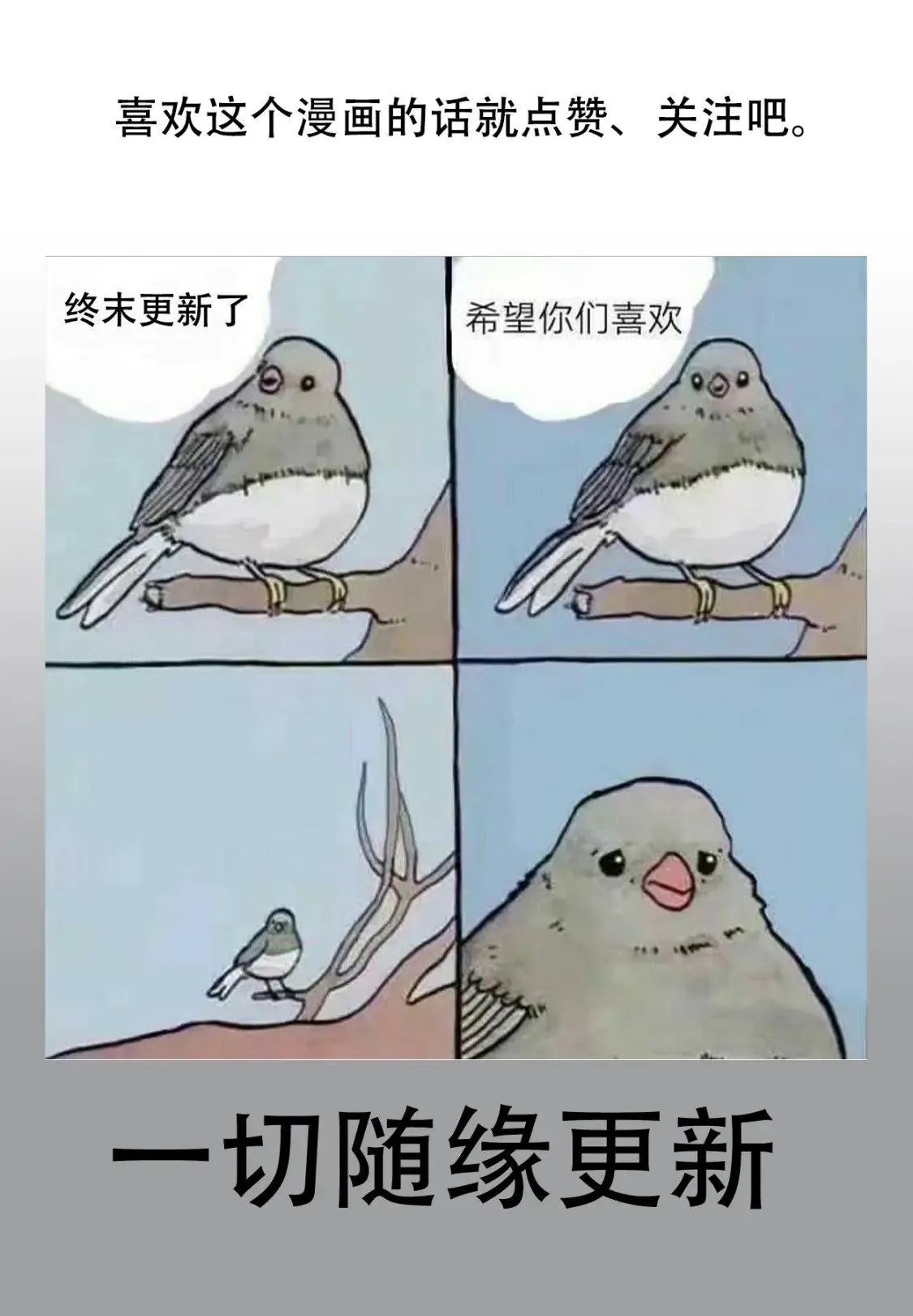 封面大全（4）3