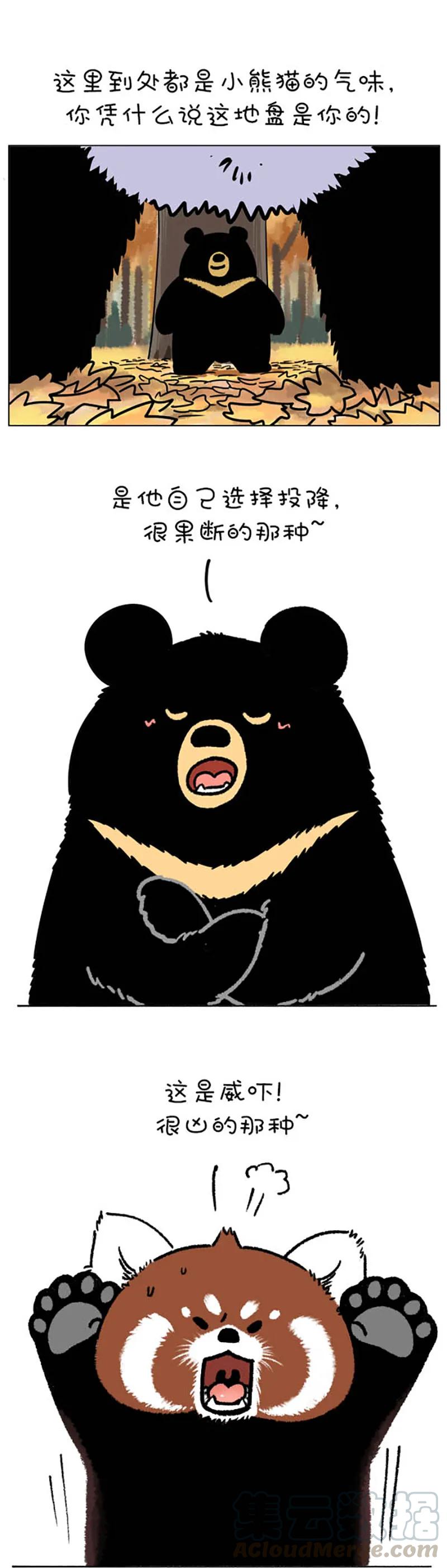 快把动物放进冰箱~漫画,220 熊挪活，树挪死1图